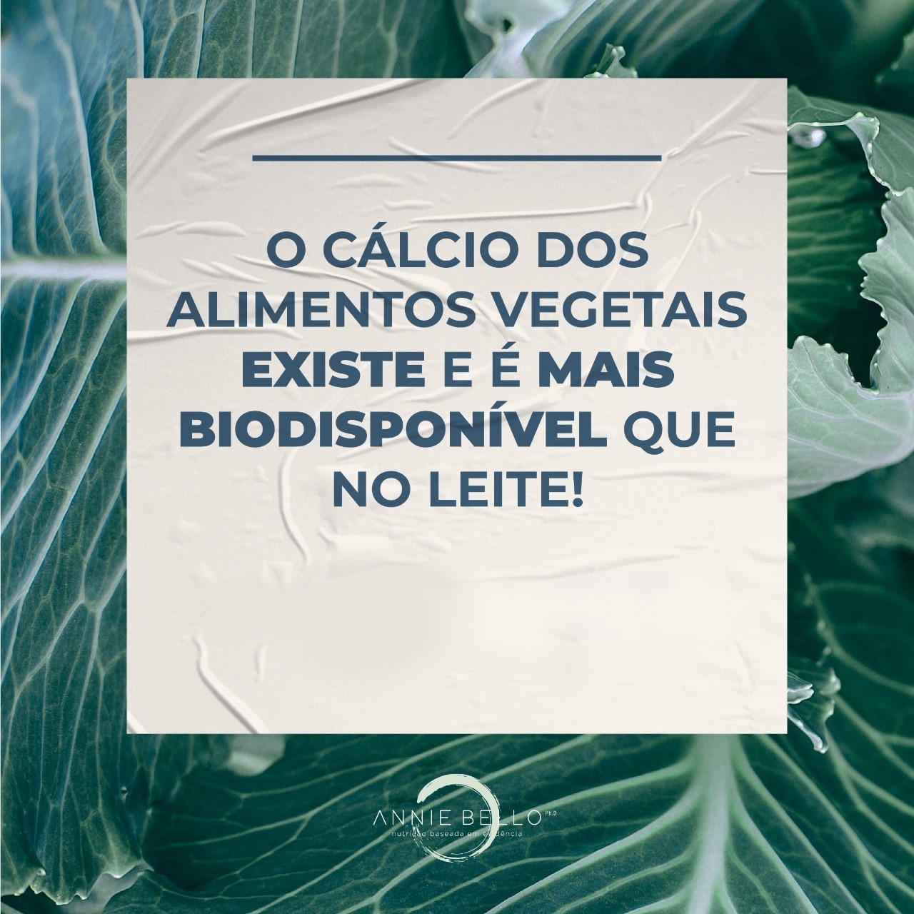 SAIBA COMO APROVEITAR MELHOR O CÁLCIO DE ORIGEM VEGETAL